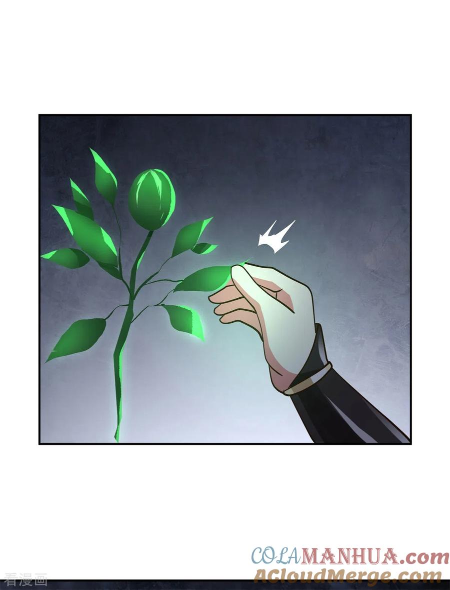 混沌丹神 332 外出 第7页