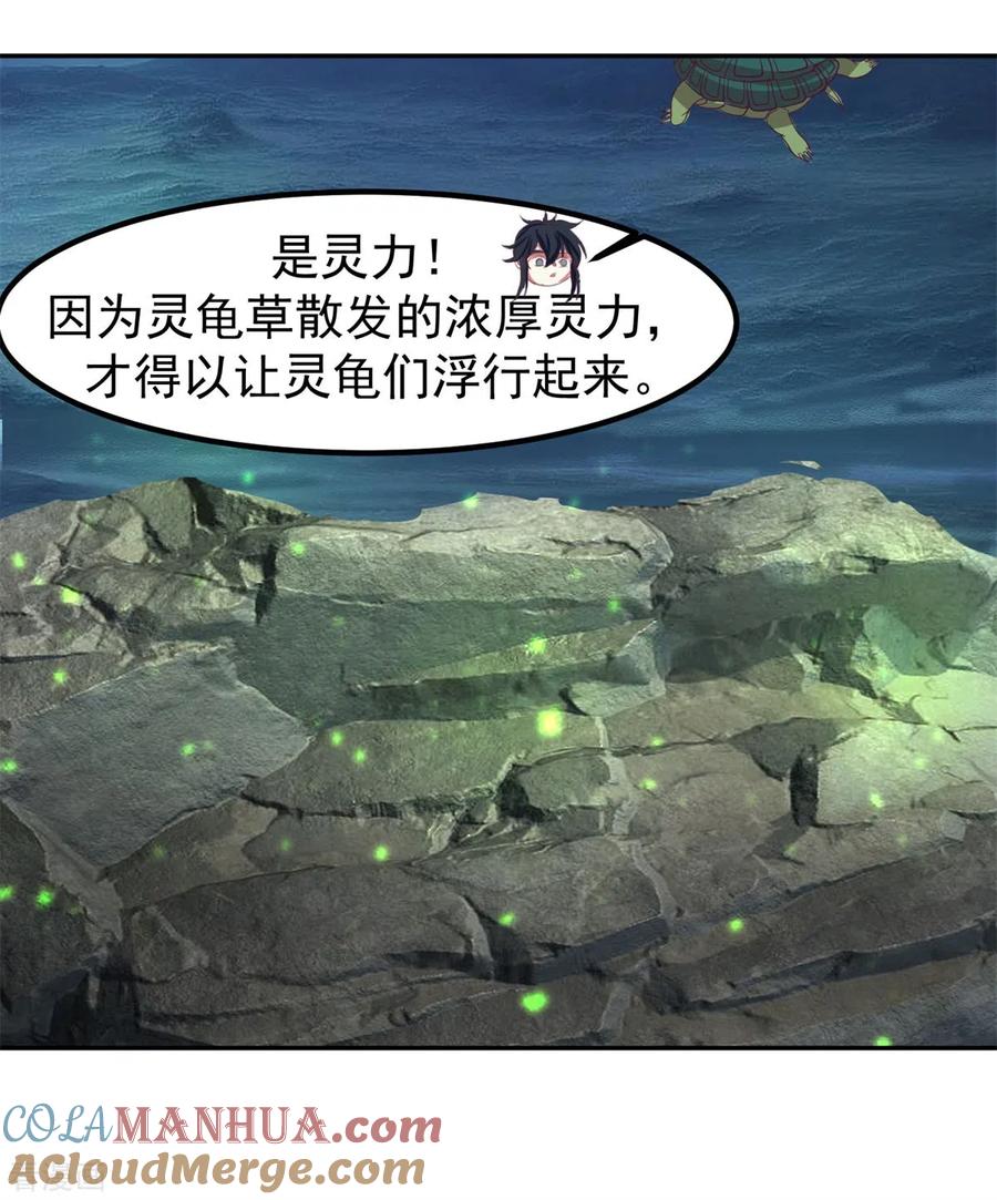 混沌丹神 334 灵龟果 第11页