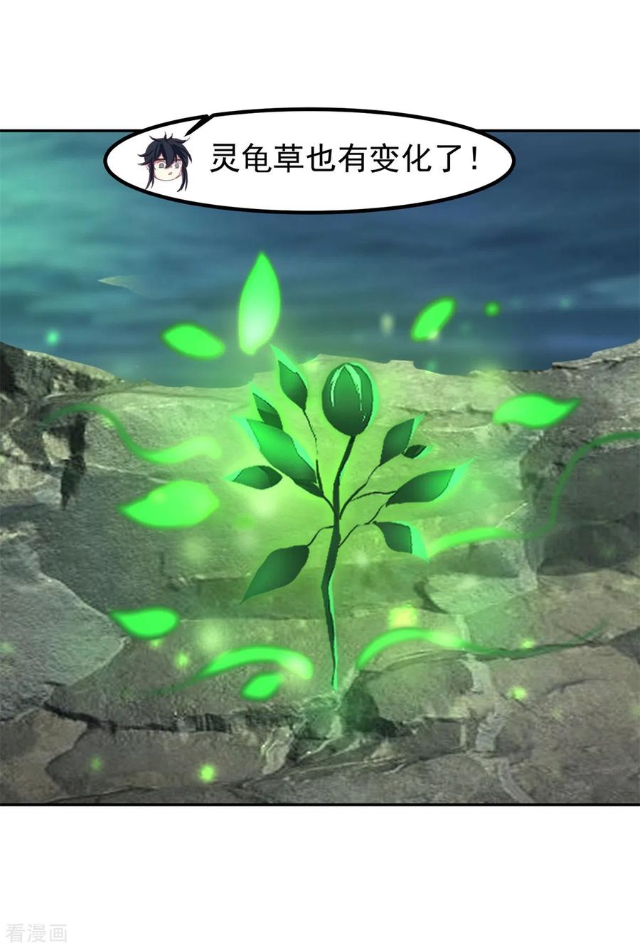 混沌丹神 334 灵龟果 第12页