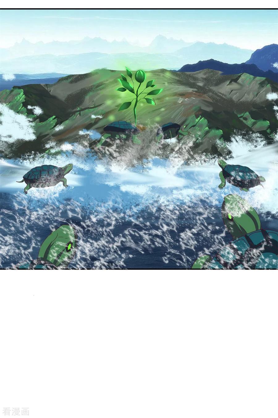 混沌丹神 334 灵龟果 第2页