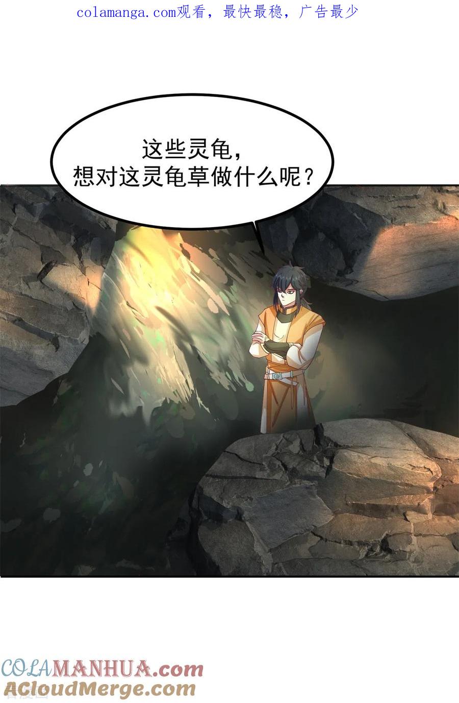 混沌丹神 334 灵龟果 第1页