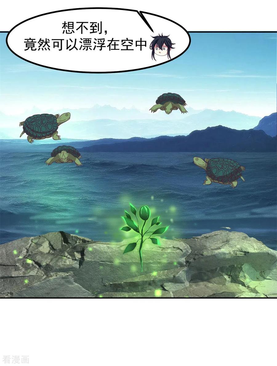 混沌丹神 334 灵龟果 第10页