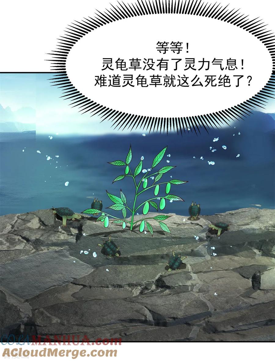 混沌丹神 334 灵龟果 第21页