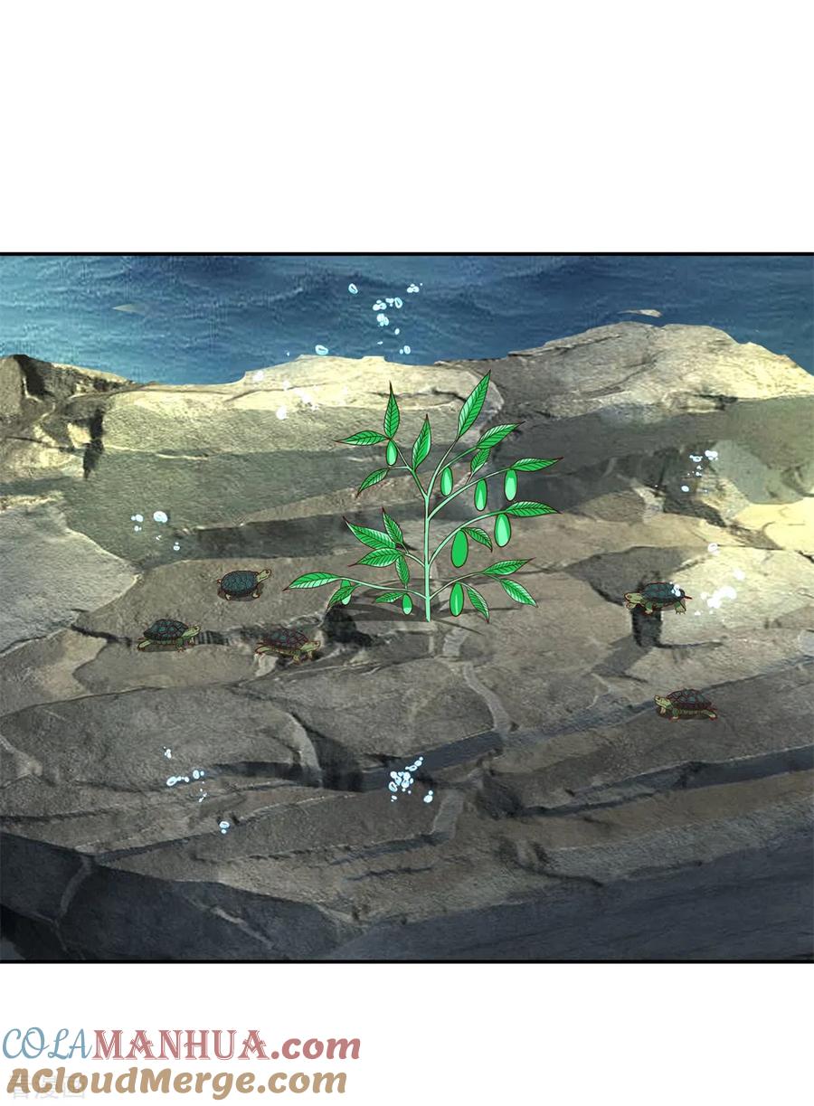 混沌丹神 334 灵龟果 第17页