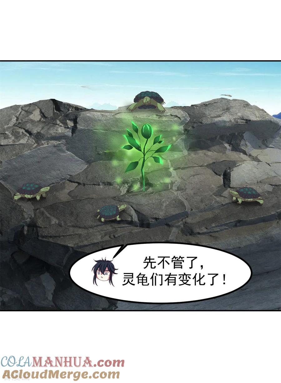 混沌丹神 334 灵龟果 第9页