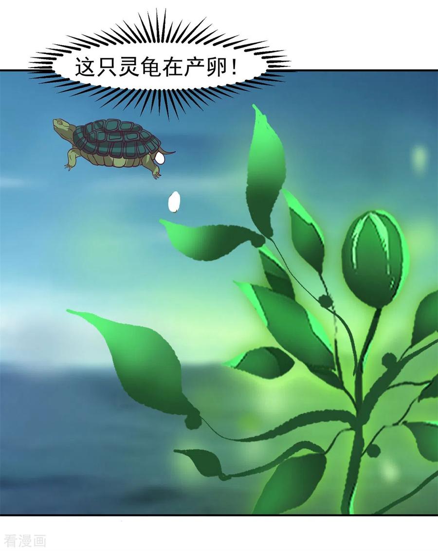 混沌丹神 334 灵龟果 第14页