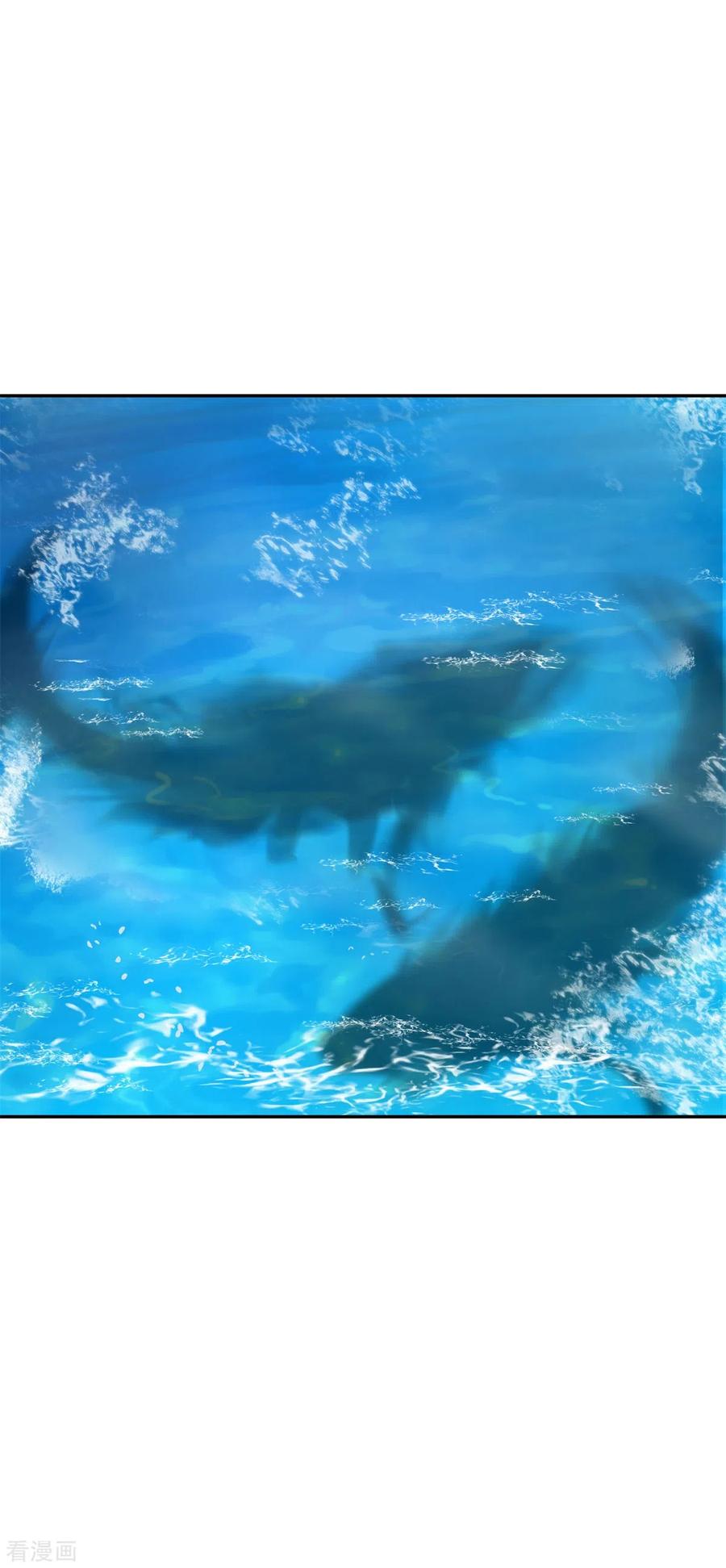 混沌丹神 334 灵龟果 第4页