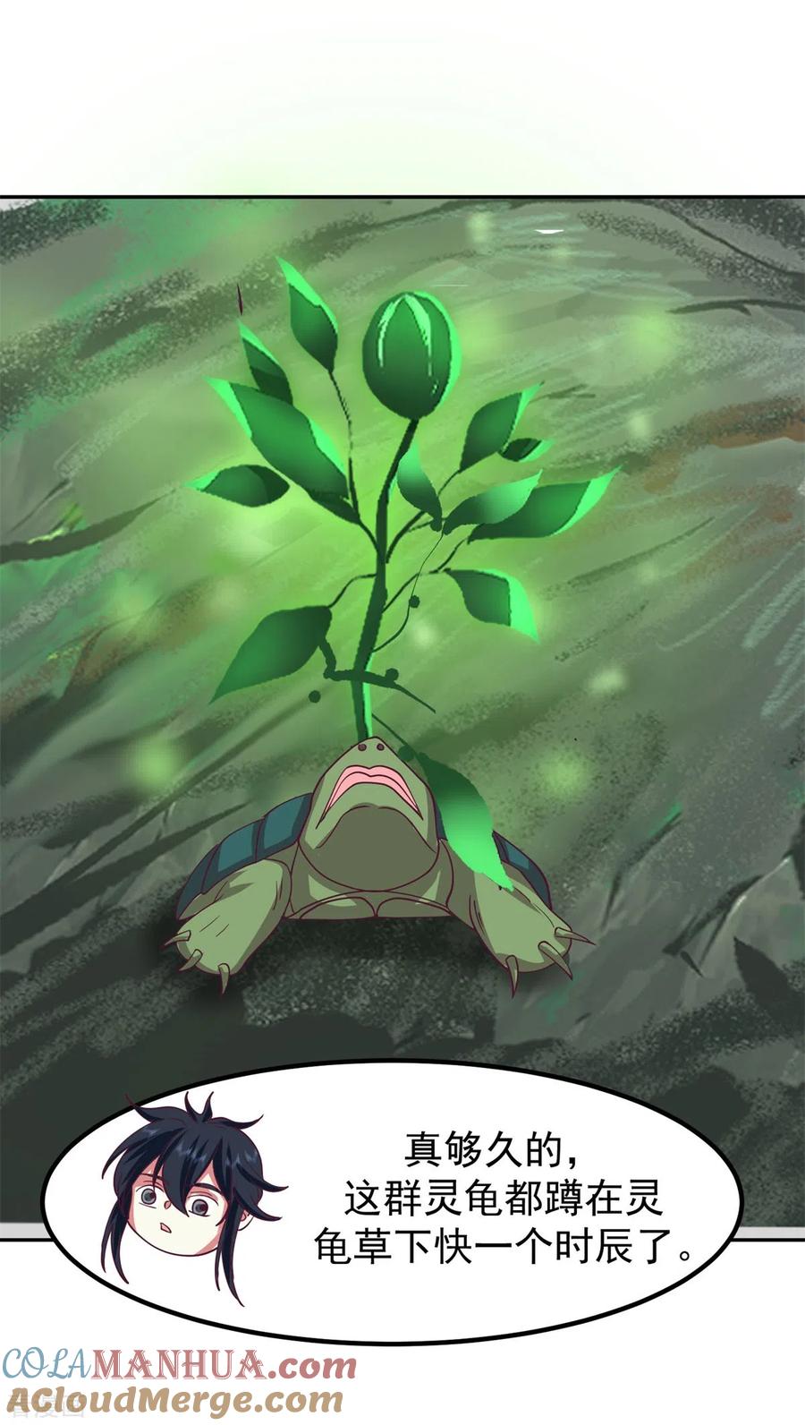 混沌丹神 334 灵龟果 第5页