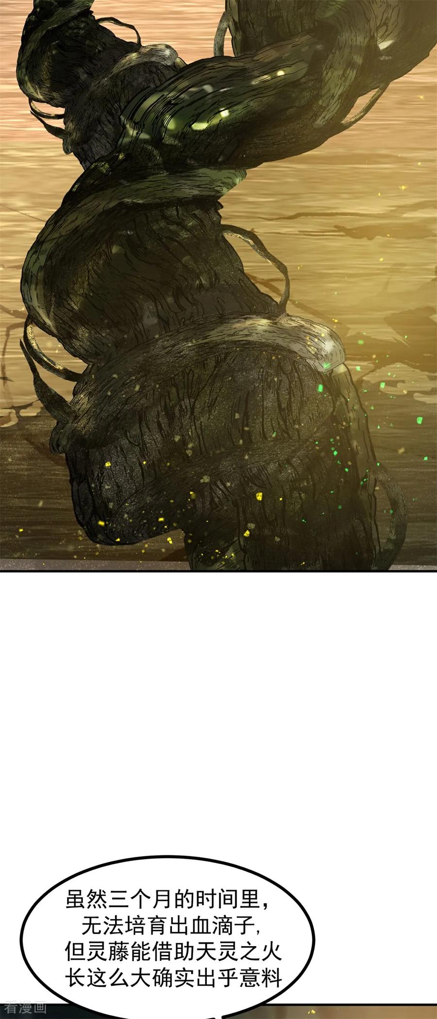 混沌丹神 375 灵藤成长 第14页