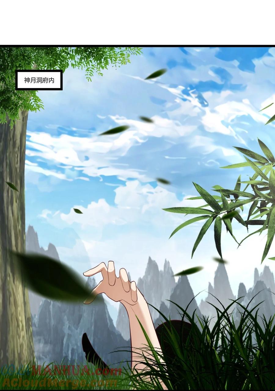 混沌丹神 429 洞府乱象 第13页