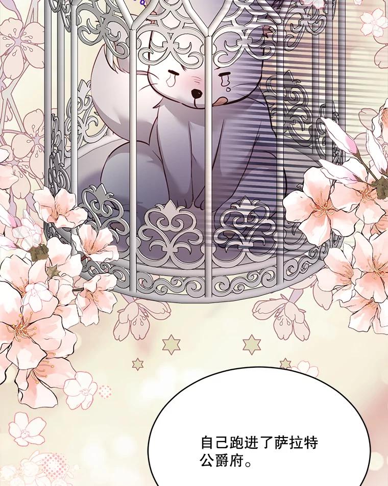 重生为神兽宝宝 - 54.得到银狐 - 第62张图