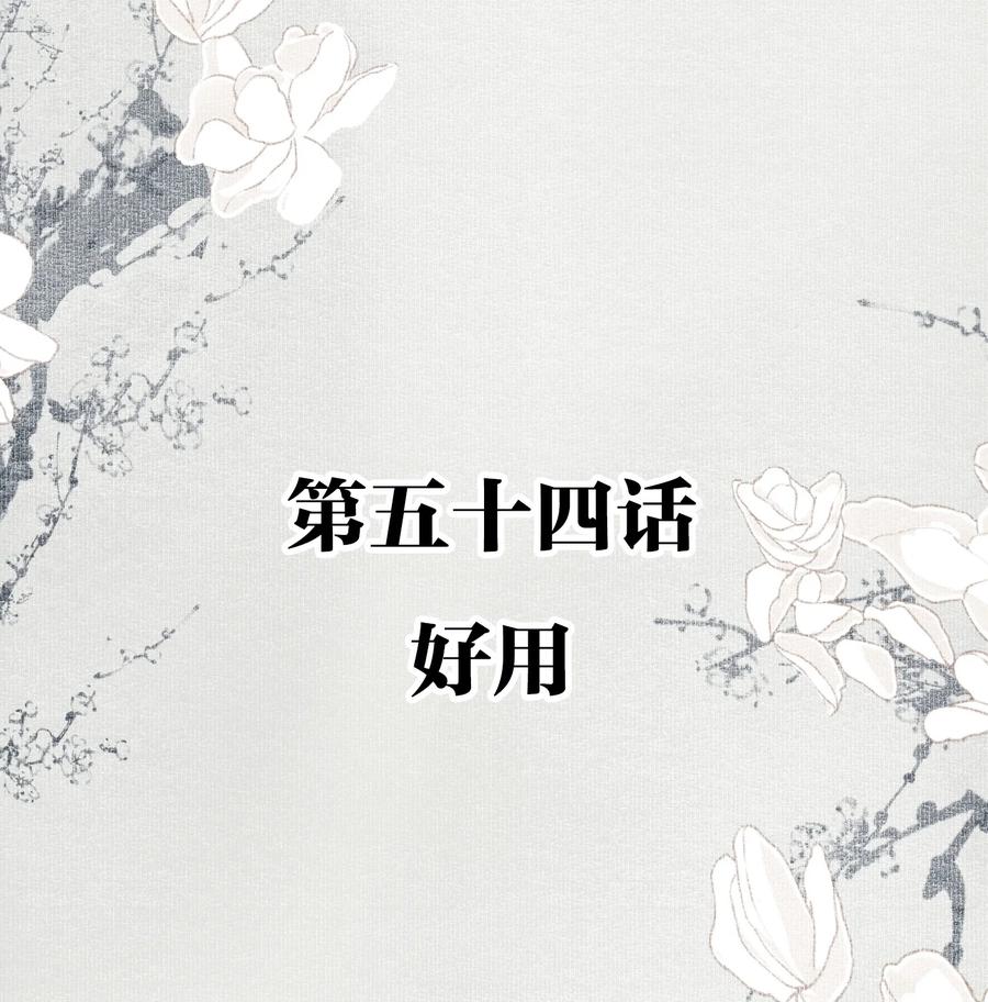不小心救了江湖公敌 054 好用 第2页