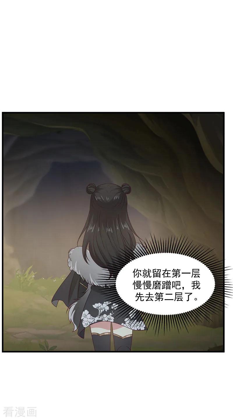 混沌丹神 96 圣石圣灵 第8页