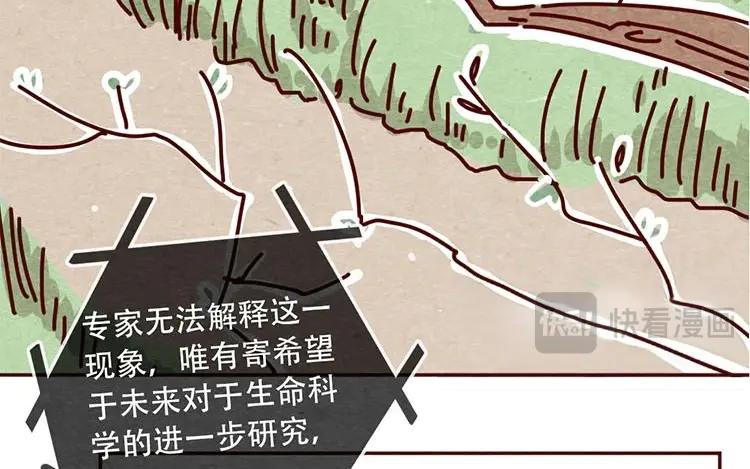 《混沌日报》第十话 珍惜的人 第12页