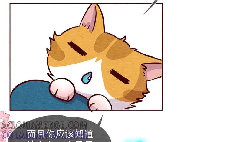 《混沌日报》第十一话 我曾拥有的你 第37页