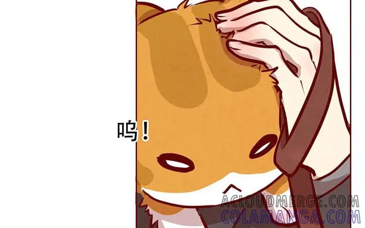 《混沌日报》第二话 跟猫搭讪的下场 第16页