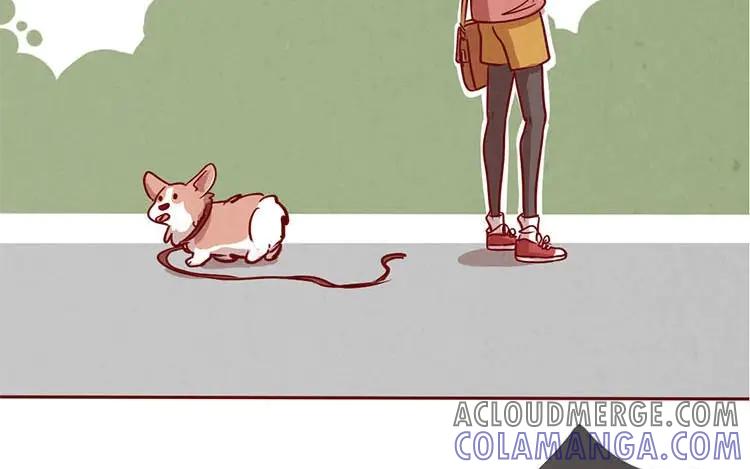《混沌日报》第二话 跟猫搭讪的下场 第49页