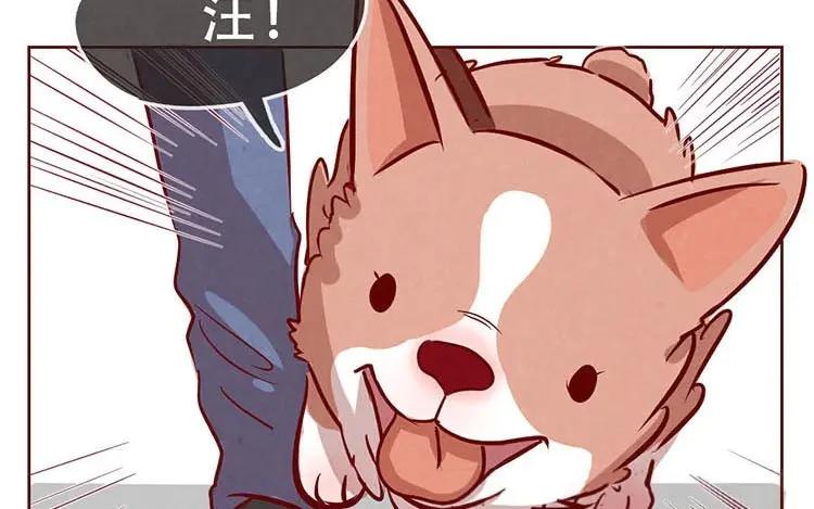 《混沌日报》第二话 跟猫搭讪的下场 第36页