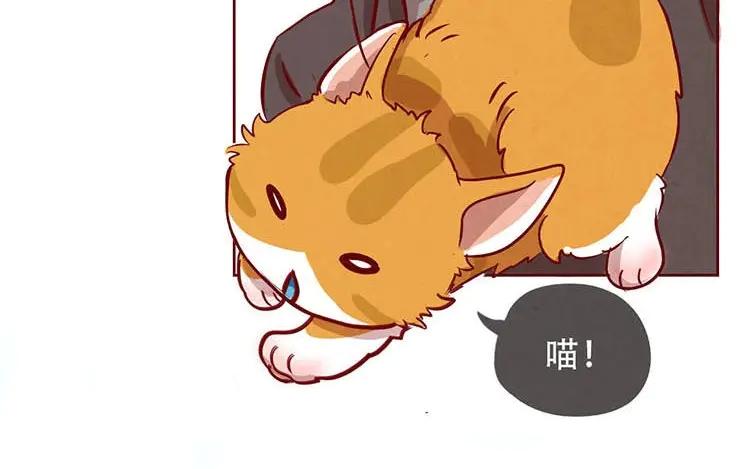 《混沌日报》第二话 跟猫搭讪的下场 第53页