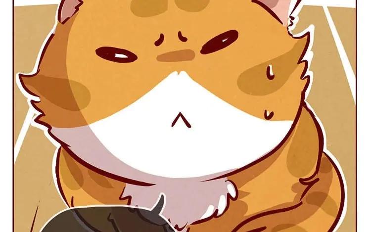 《混沌日报》第二话 跟猫搭讪的下场 第9页
