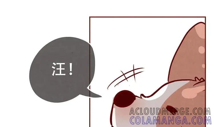 《混沌日报》第二话 跟猫搭讪的下场 第73页