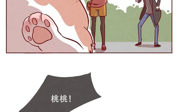 《混沌日报》第二话 跟猫搭讪的下场 第51页