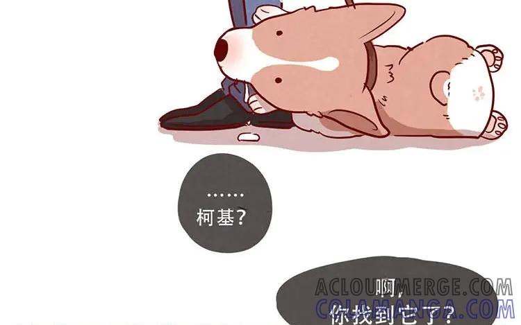 《混沌日报》第二话 跟猫搭讪的下场 第31页