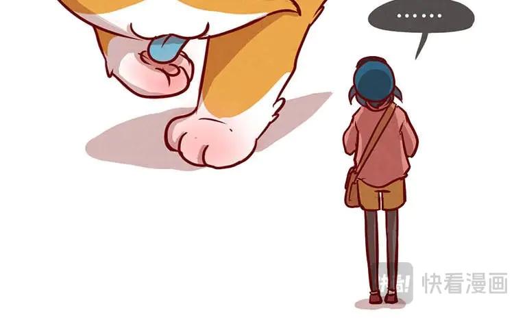 《混沌日报》第二话 跟猫搭讪的下场 第57页