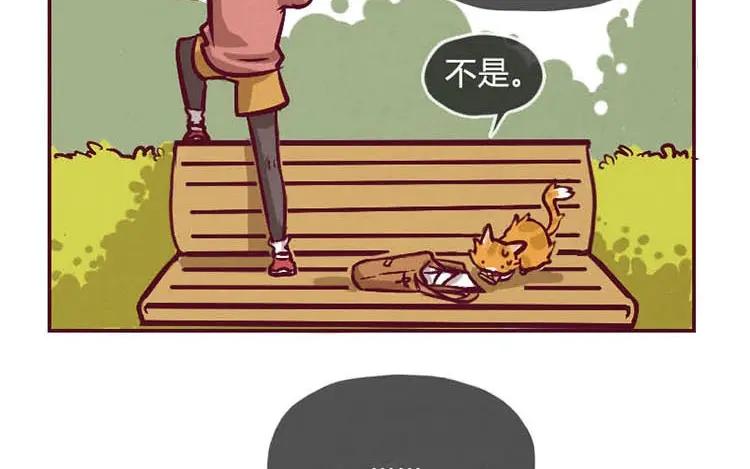 《混沌日报》第二话 跟猫搭讪的下场 第2页