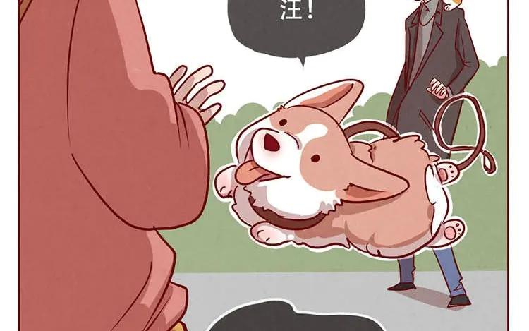 《混沌日报》第二话 跟猫搭讪的下场 第39页