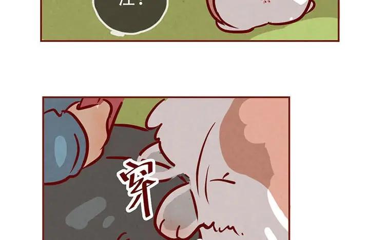 《混沌日报》第三话 最后一个愿望 第19页