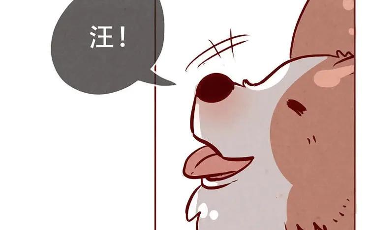 《混沌日报》第三话 最后一个愿望 第35页