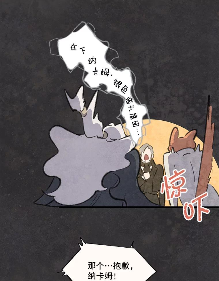 《在流星坠落之处等待》77.银色猫头鹰（1） 第42页