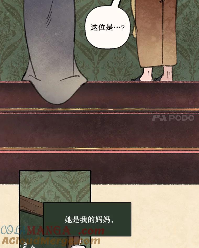 《在流星坠落之处等待》77.银色猫头鹰（1） 第58页