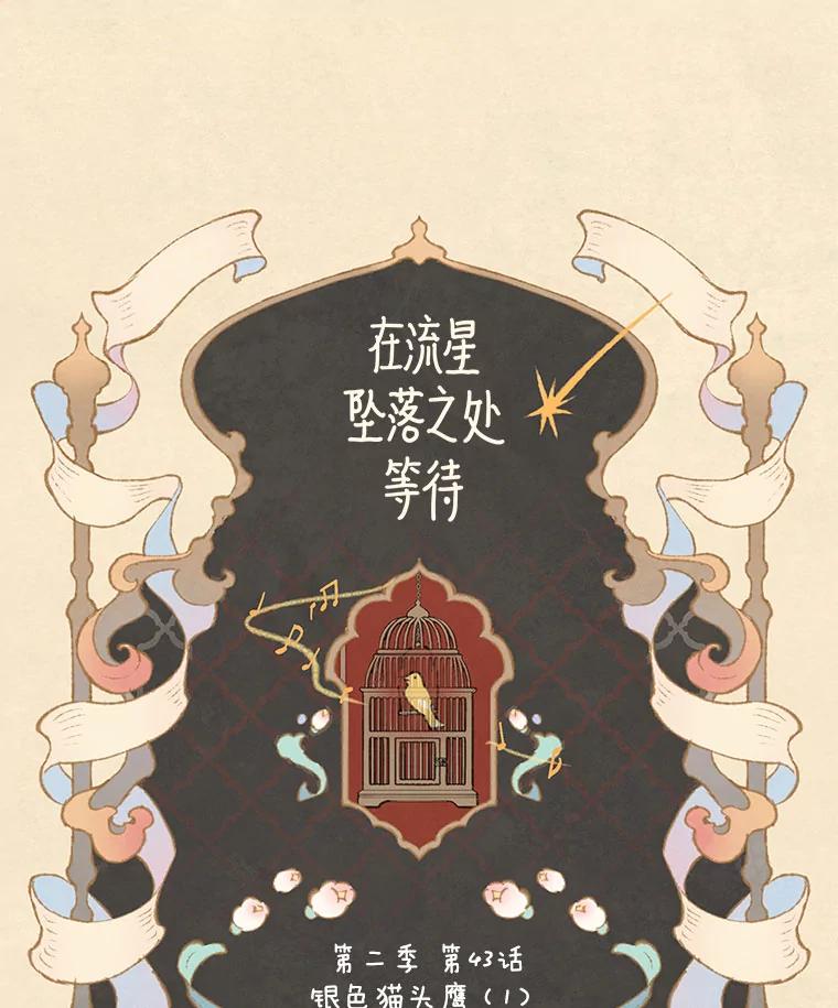 《在流星坠落之处等待》77.银色猫头鹰（1） 第54页