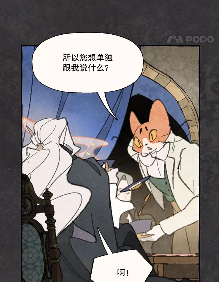 《在流星坠落之处等待》77.银色猫头鹰（1） 第45页