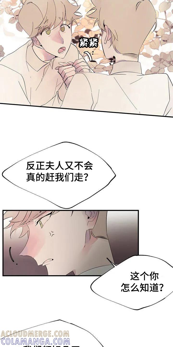 《婚恋天魔》第10章：封口 第9页