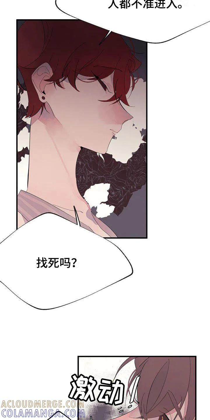 《婚恋天魔》第13章：安排 第5页
