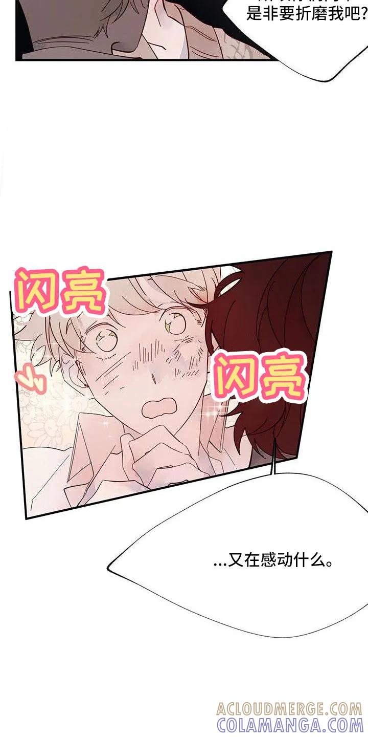 《婚恋天魔》第20章：够了 第13页
