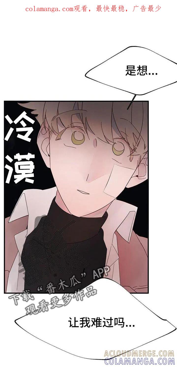 《婚恋天魔》第22章：夫人输了 第1页