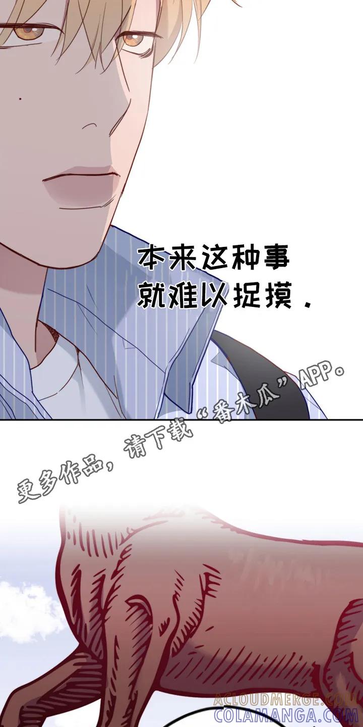《幻想烛火》第25章：不断适应 第5页
