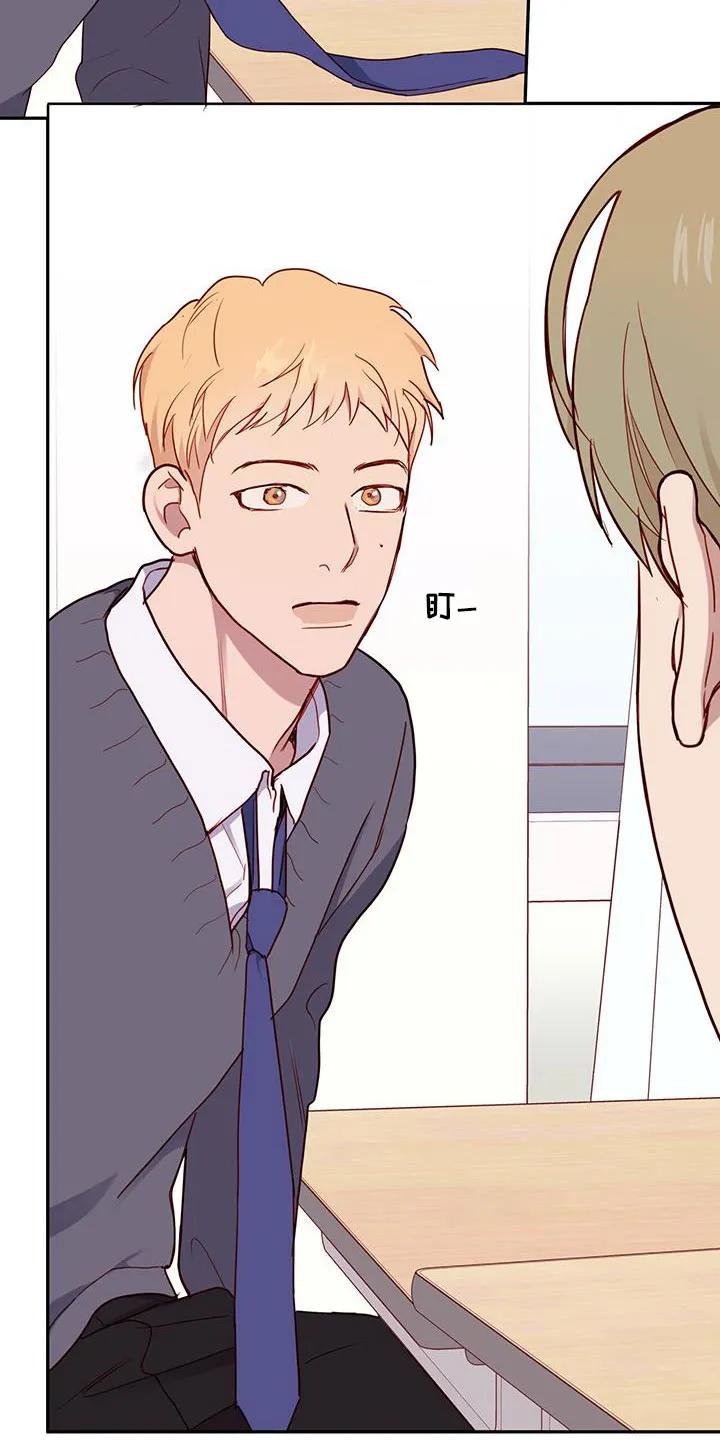 《幻想烛火》第26章：集合 第16页