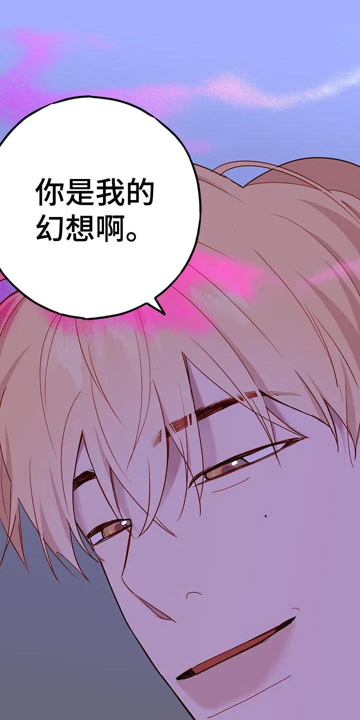 《幻想烛火》第27章：幻想 第12页