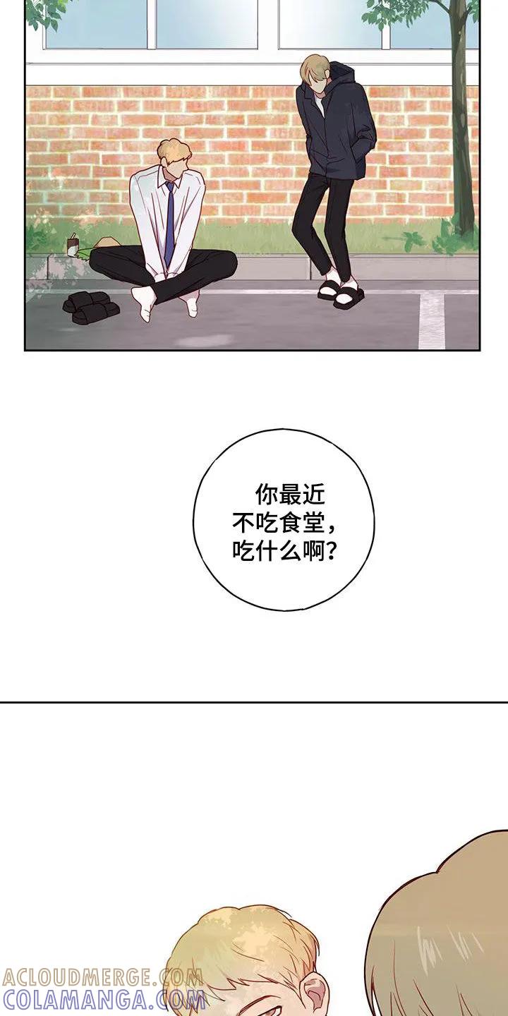 《幻想烛火》第27章：幻想 第33页