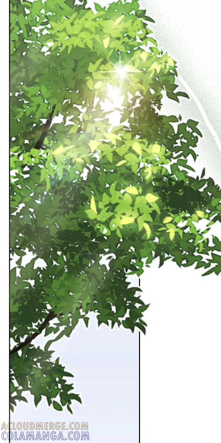 《幻想烛火》第28章：有点漂亮 第15页