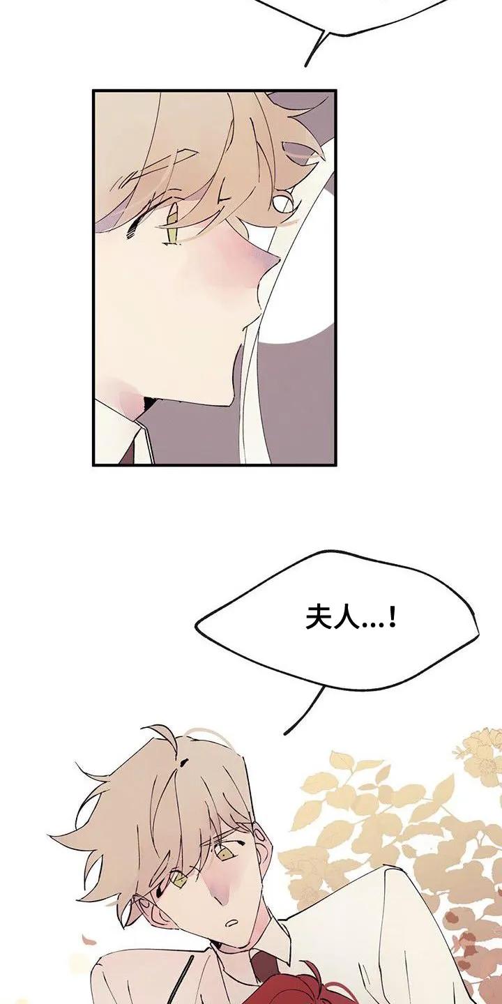 《婚恋天魔》第3章：分离 第2页