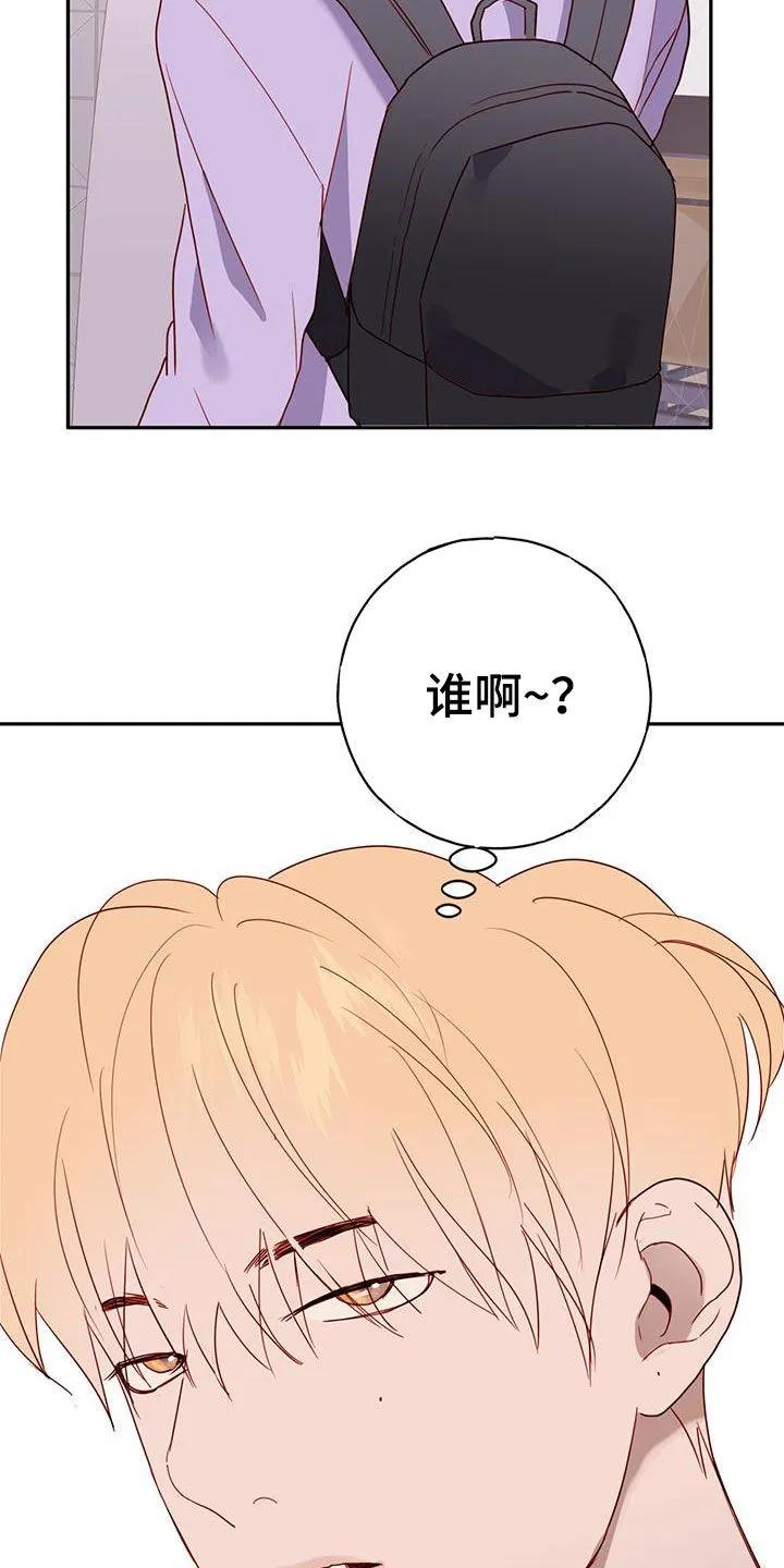 《幻想烛火》第37章：考试周 第22页