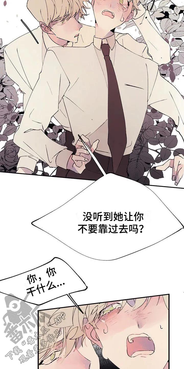 《婚恋天魔》第4章：混乱 第10页