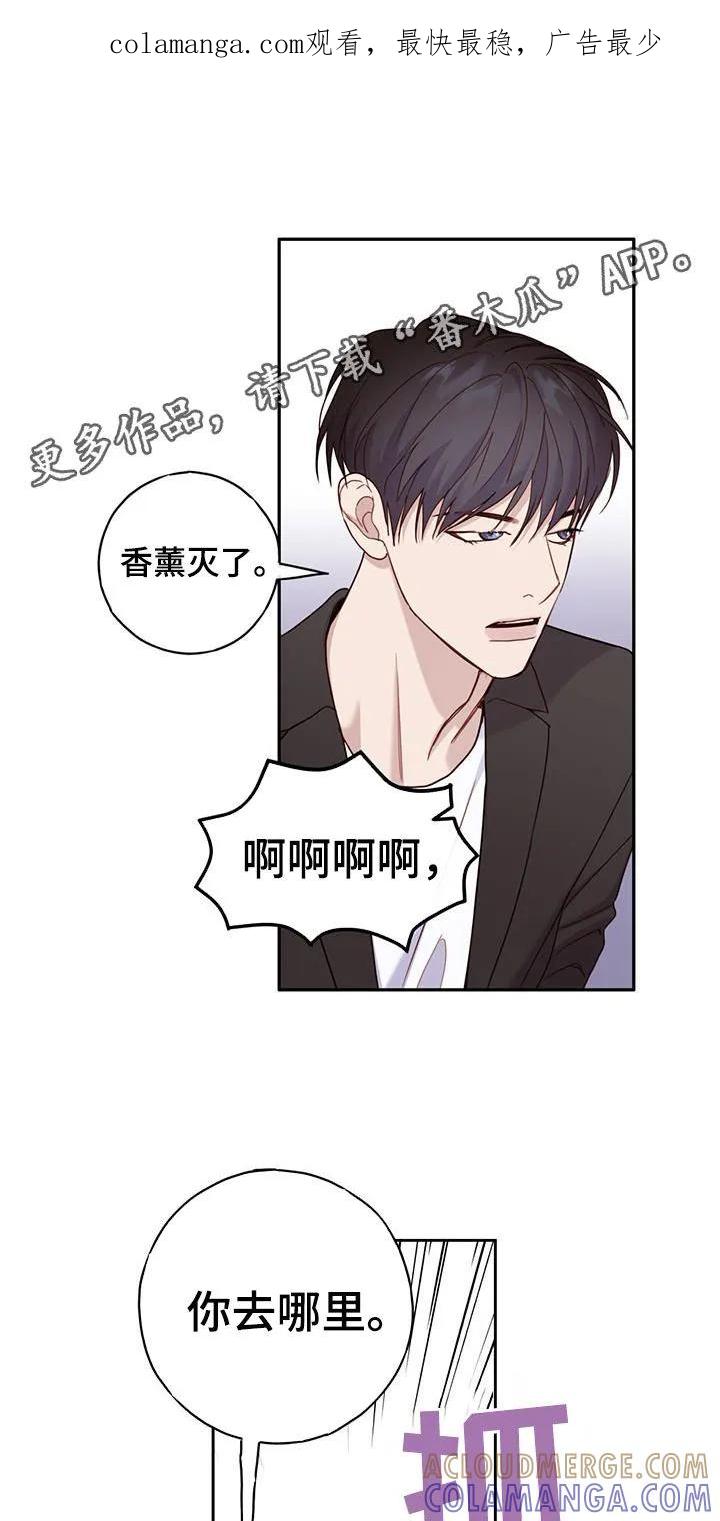 《幻想烛火》第41章：集中点 第1页