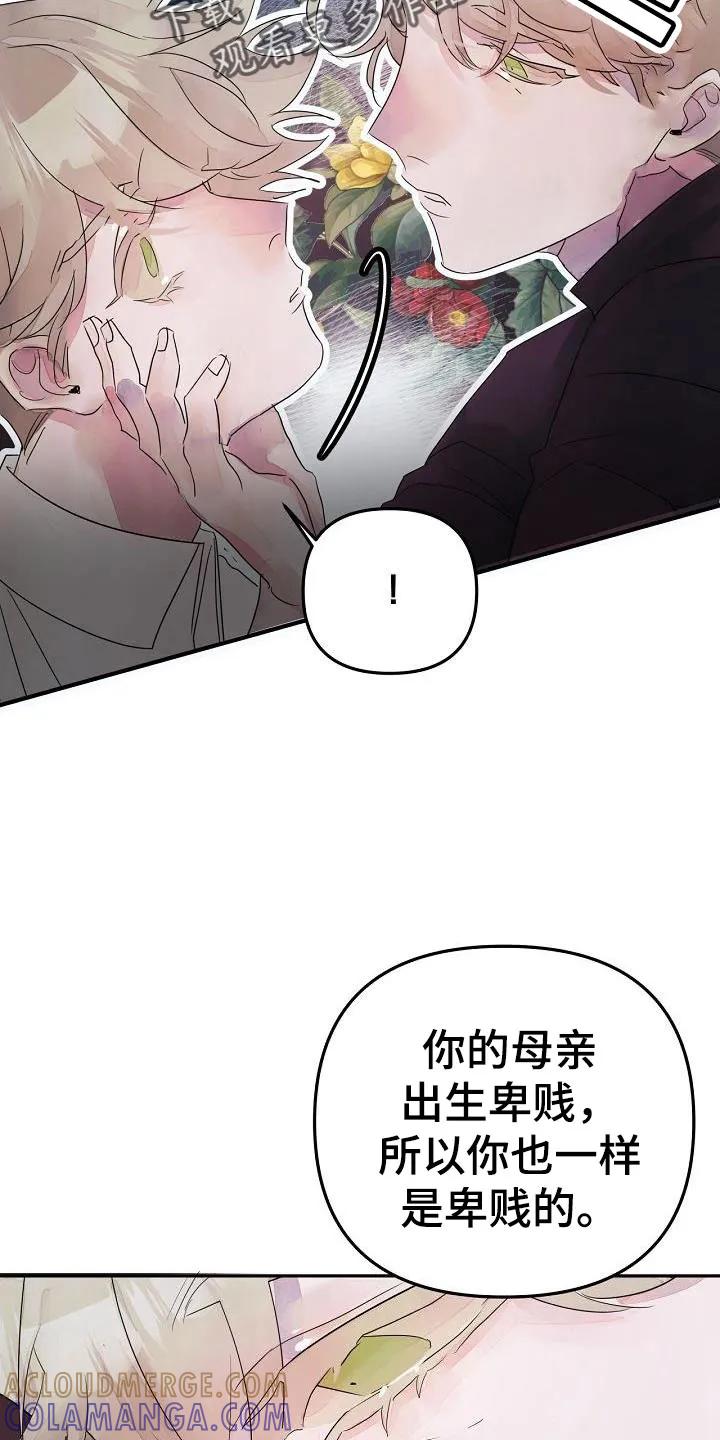 《婚恋天魔》第41章：住手 第7页
